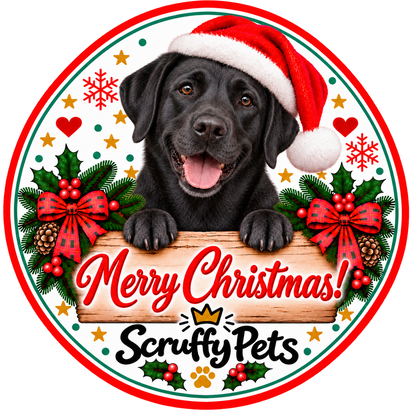 Scruffy Pets STOCKING FILLER MYSTERY 15 Natural Dog Treats