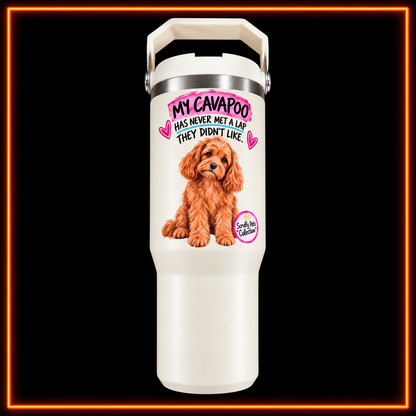Scruffy Pets Dog Breed Mystery Gift Bundle | 4 Items
