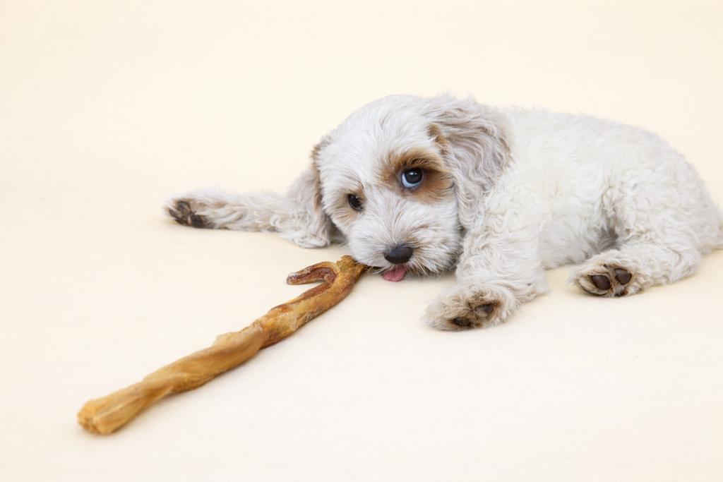 Monthly Dog Treat Scoop Bag | Natural Dog Treat Scoop | Dog Treat Box UK
