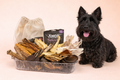 Scruffy Dog Scoops – Mega Dog Treat Bag (Over 100 Natural Dog Treats)