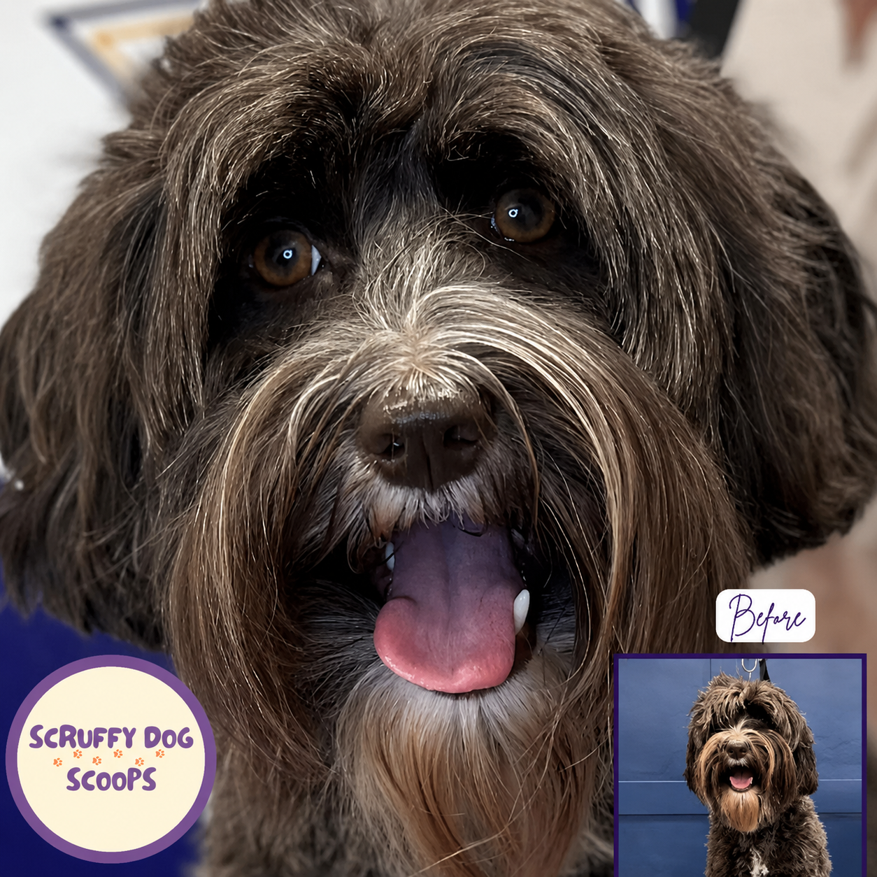 Scruffy Dog Scoops - The Grooming Scoop Bag -