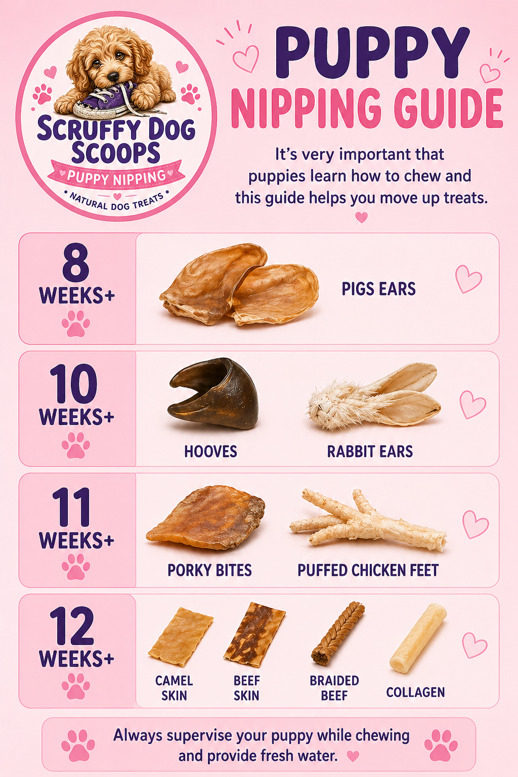 Scruffy Dog Scoops – Puppy Teething & Nipping Natural Dog Treat Bag