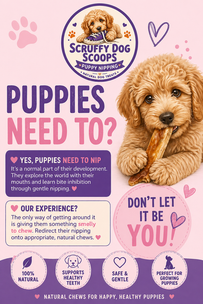 Scruffy Dog Scoops – Puppy Teething & Nipping Natural Dog Treat Bag