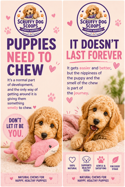 Scruffy Dog Scoops – Puppy Teething & Nipping Natural Dog Treat Bag