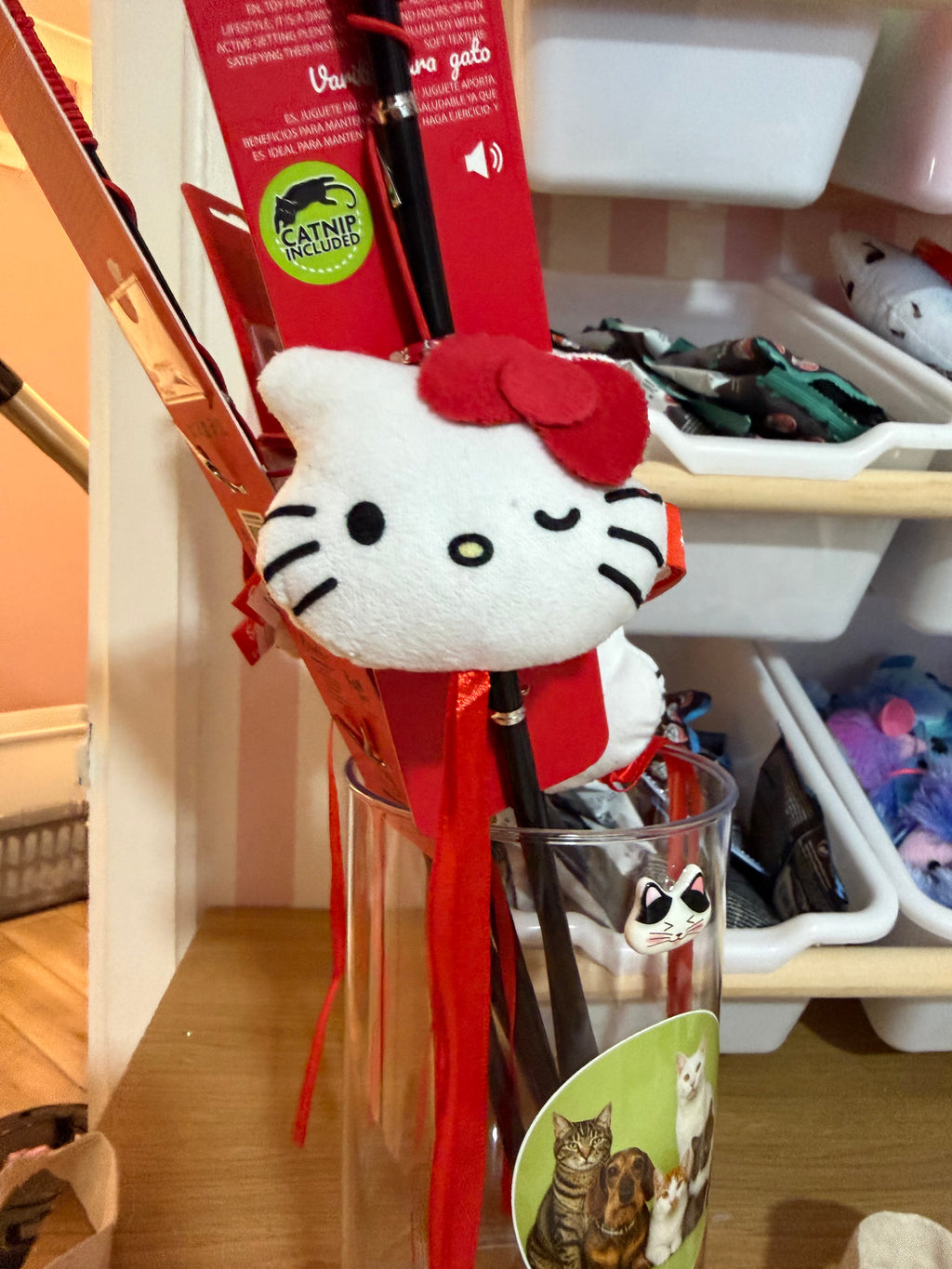 Scruffy Cat Scoops – The Gold Scoop FOR CAT SCOOP