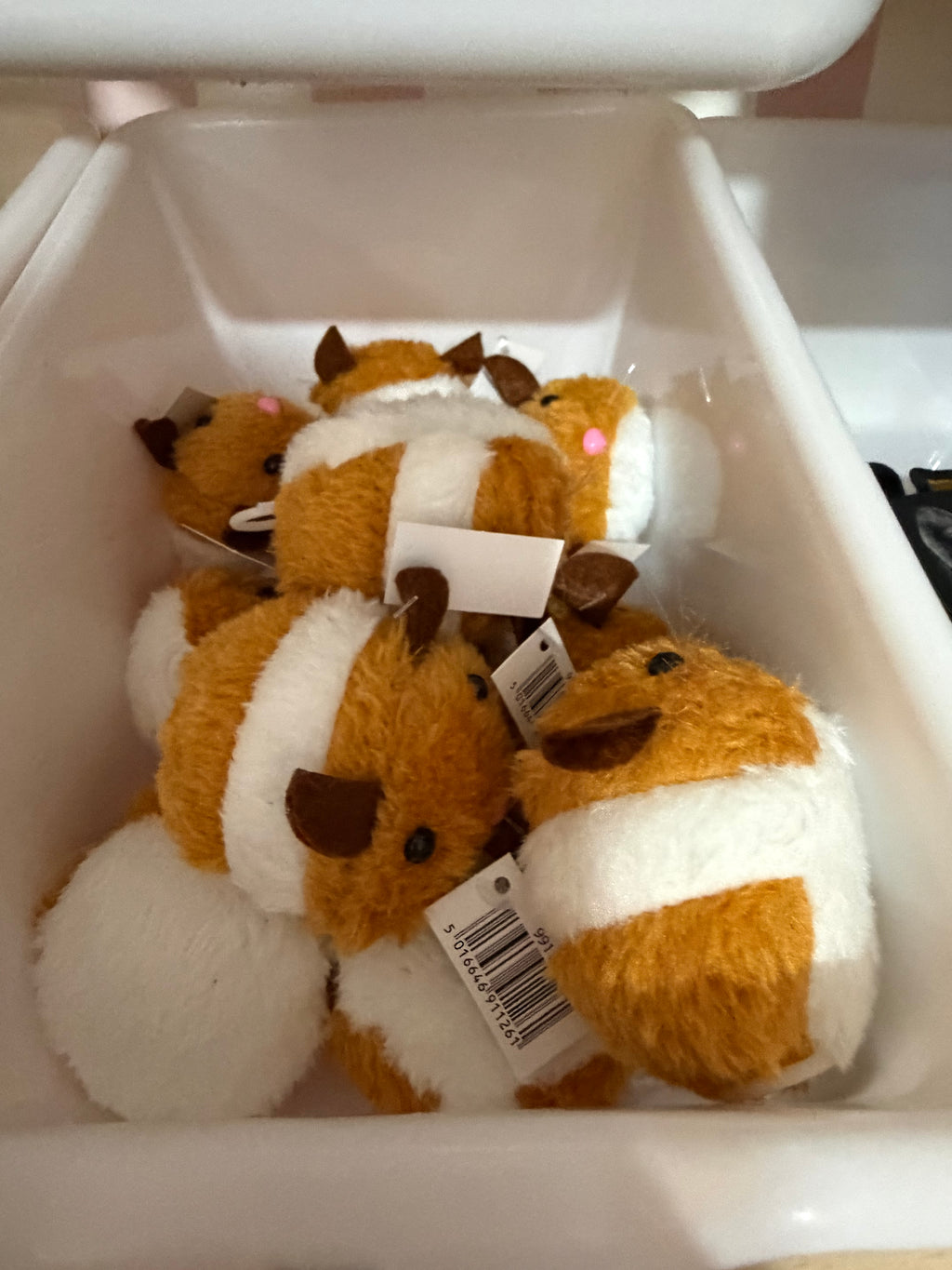 Scruffy Cat Scoops – The Gold Scoop FOR CAT SCOOP