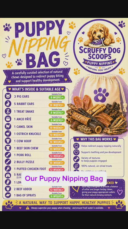 Scruffy Dog Scoops – Puppy Teething & Nipping Natural Dog Treat Bag